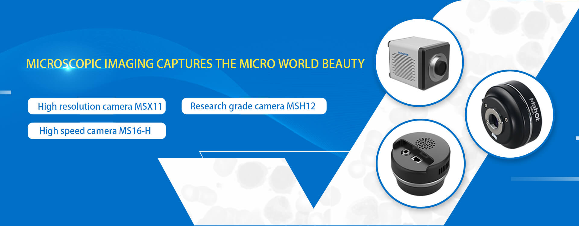 Mshot microscope cameras MSX11 MSH12 and MS16-H for scientific imaging