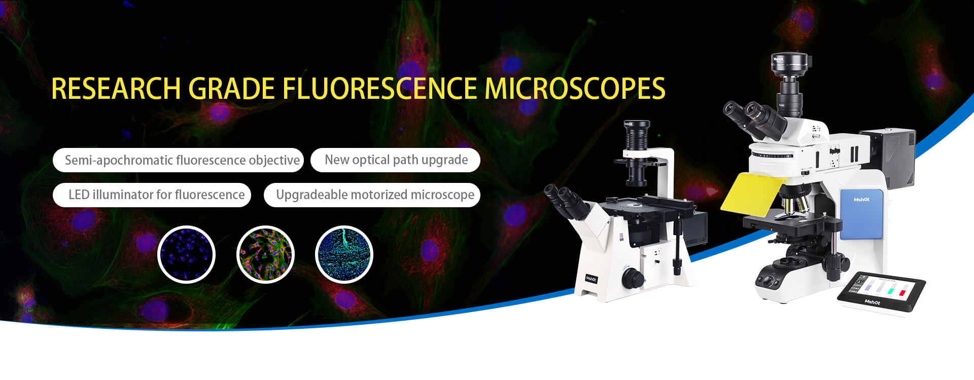Mshot research grade fluorescence microscope upright and inverted models